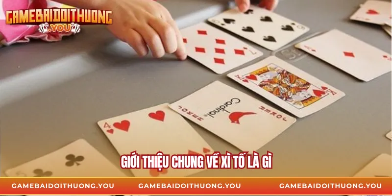 Giới thiệu chung về xì tố là gì